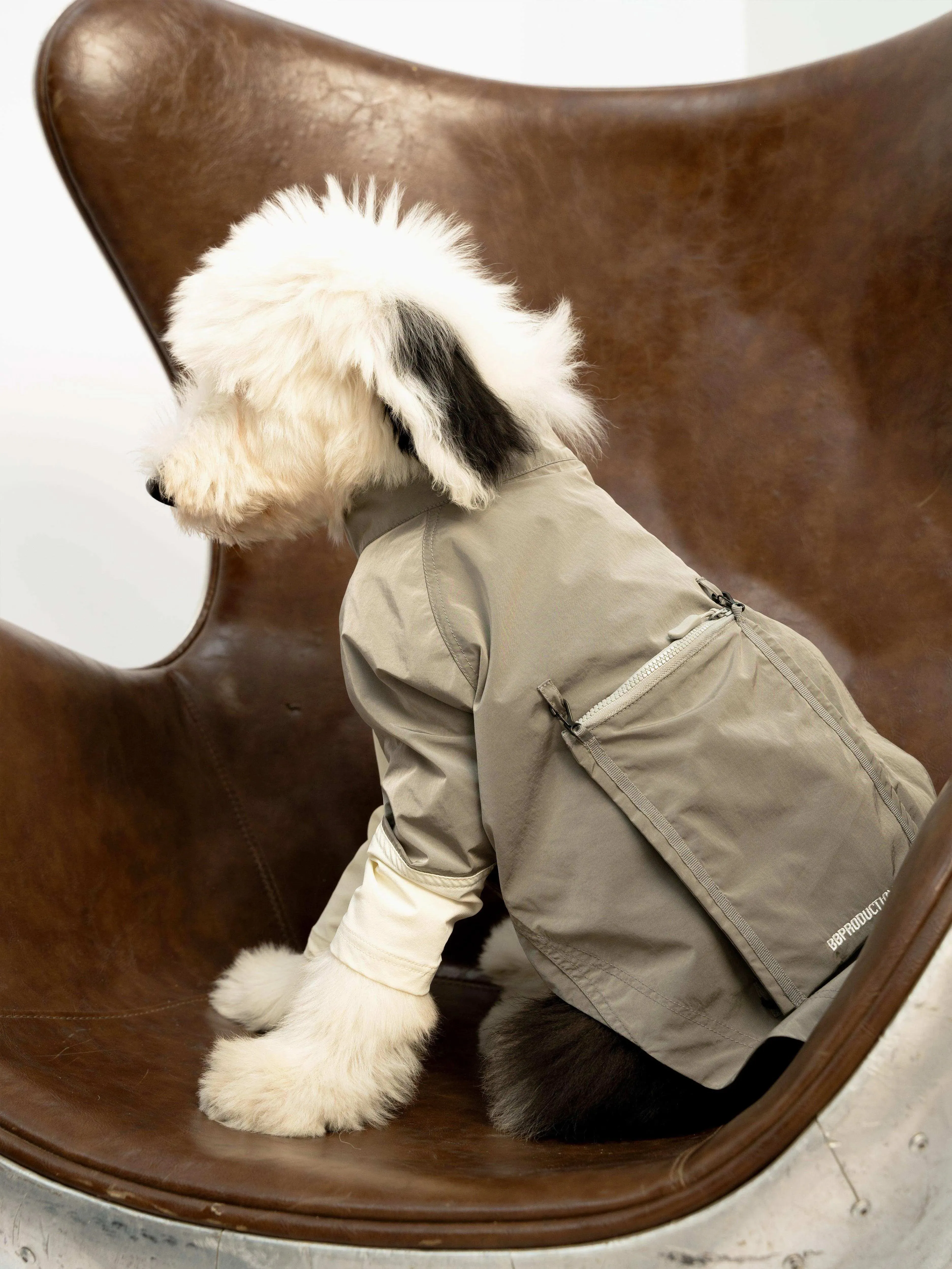 WeatherFlex RoverShell Dog Jacket